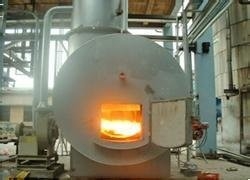kopen Op maat gemaakte medische afvalverbrandingsinstallatie klinische afvalverbrandingsinstallatie roestvrij staal online manufacture